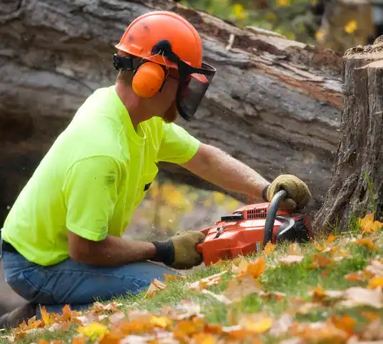 tree services Vermillion